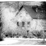 Winter Wonderland | Kingston Photographer