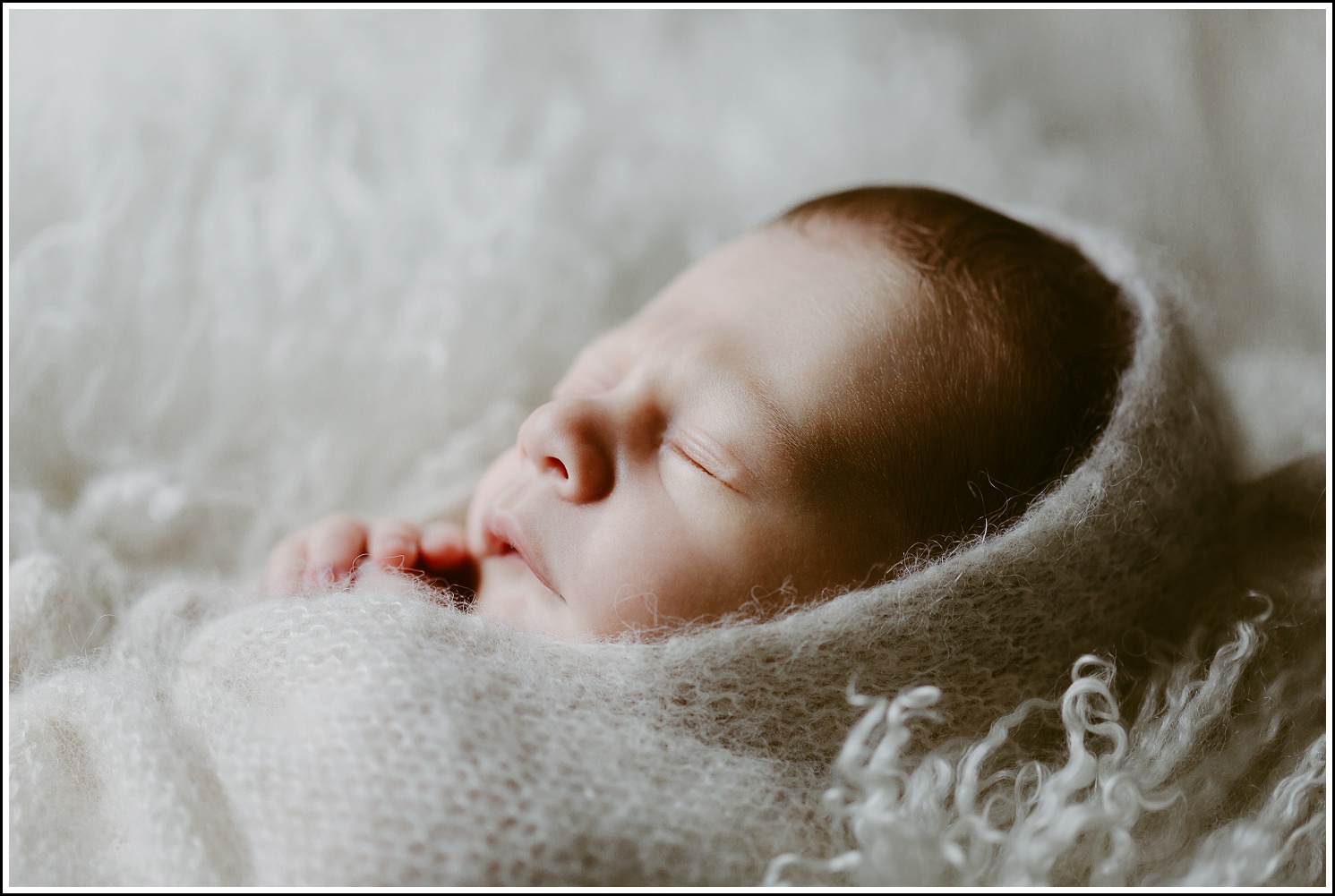 Baby Calvin | Kingston Photographer